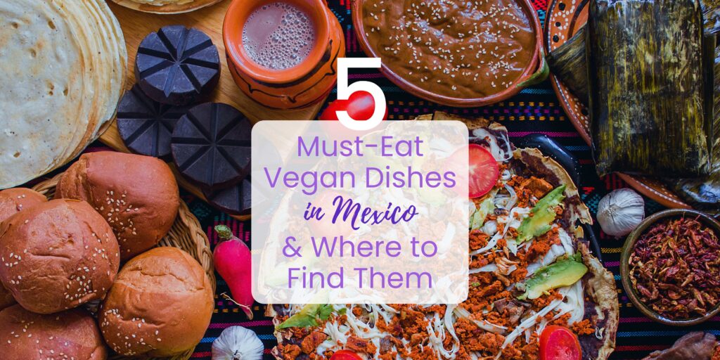 Must-Eat Vegan Dishes in Mexico